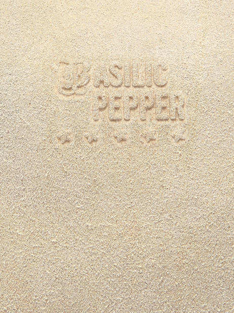 Sac Bandoulière Houston Cuir Basilic pepper Beige houston BHOU72 vue secondaire 5